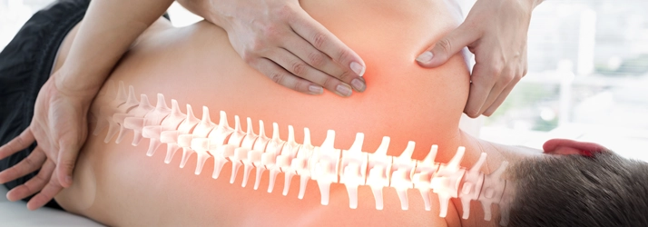 Chiropractic Windsor CO Back Exam